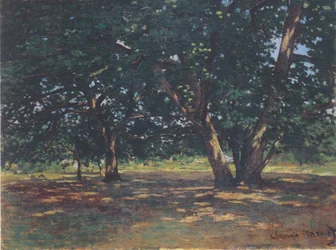 Floresta de Fontainbleau